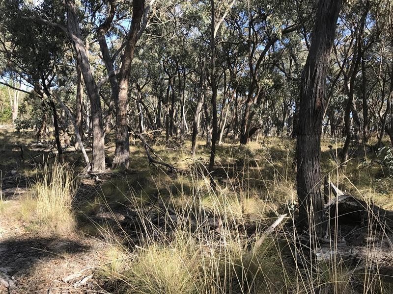 Lot 159/144 Redbank Road, Triangle Flat NSW 2795