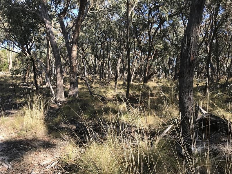 Lot 159/144 Redbank Road, Triangle Flat NSW 2795