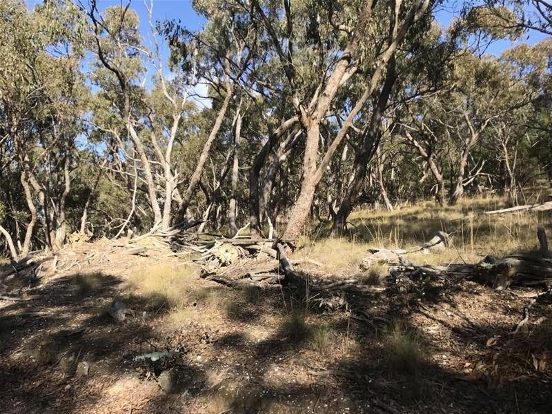 Lot 159/144 Redbank Road, Triangle Flat NSW 2795