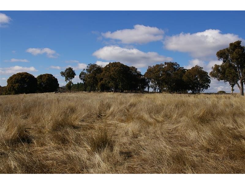 1841 Isabella Road, Oberon NSW 2787