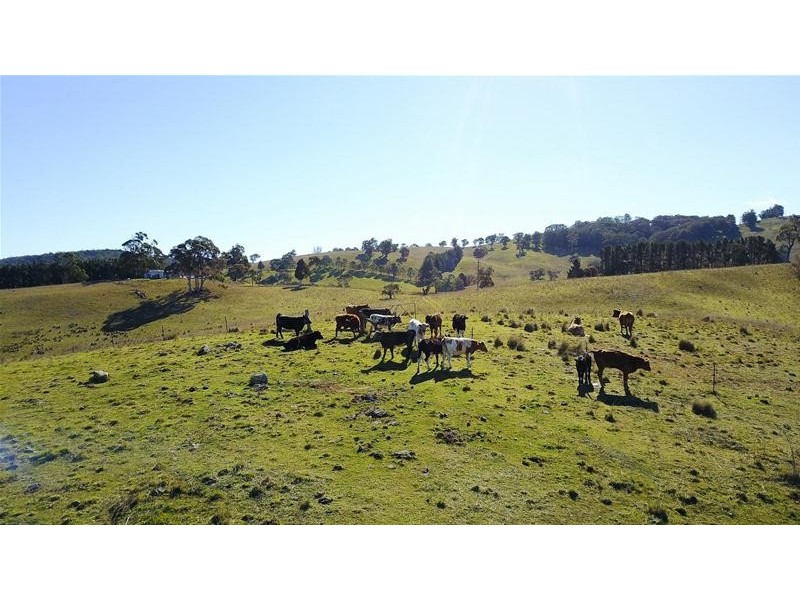 195 Baileys  Lane, Oberon NSW 2787