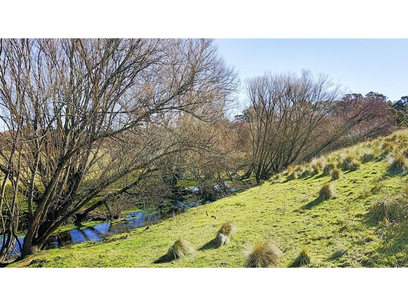 195 Baileys  Lane, Oberon NSW 2787