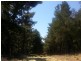 Burraga NSW 2795