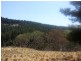 Burraga NSW 2795