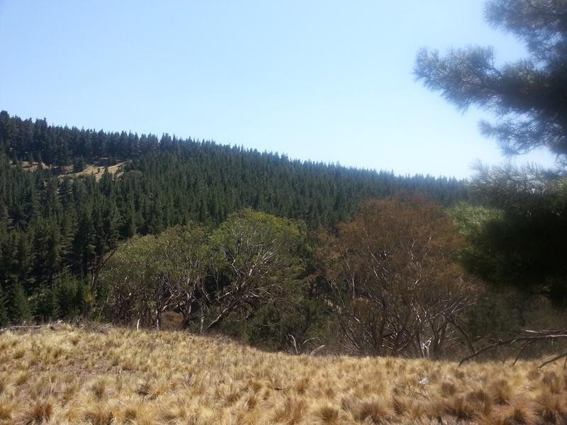 Burraga NSW 2795