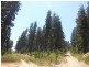 Burraga NSW 2795
