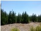 Burraga NSW 2795