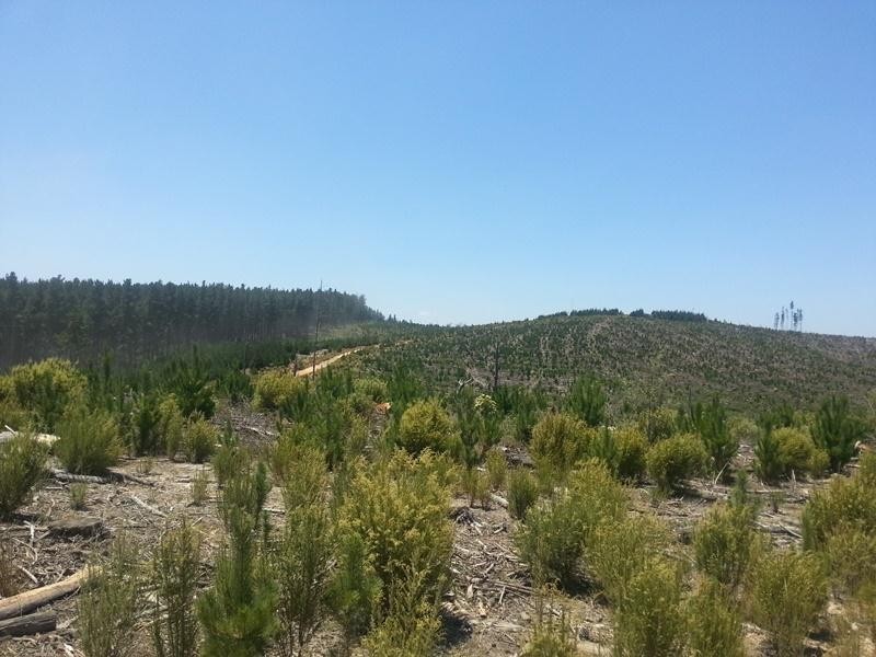 Burraga NSW 2795