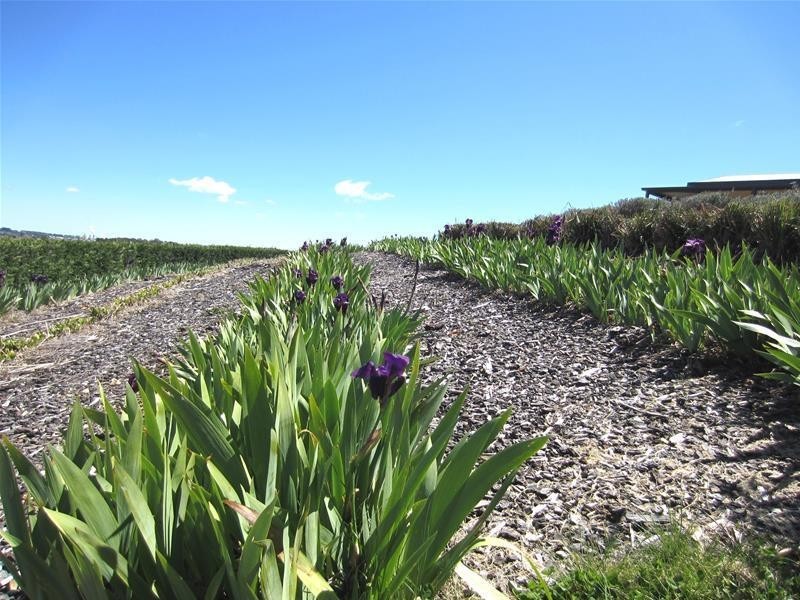 85 Wilson Drive, Oberon NSW 2787