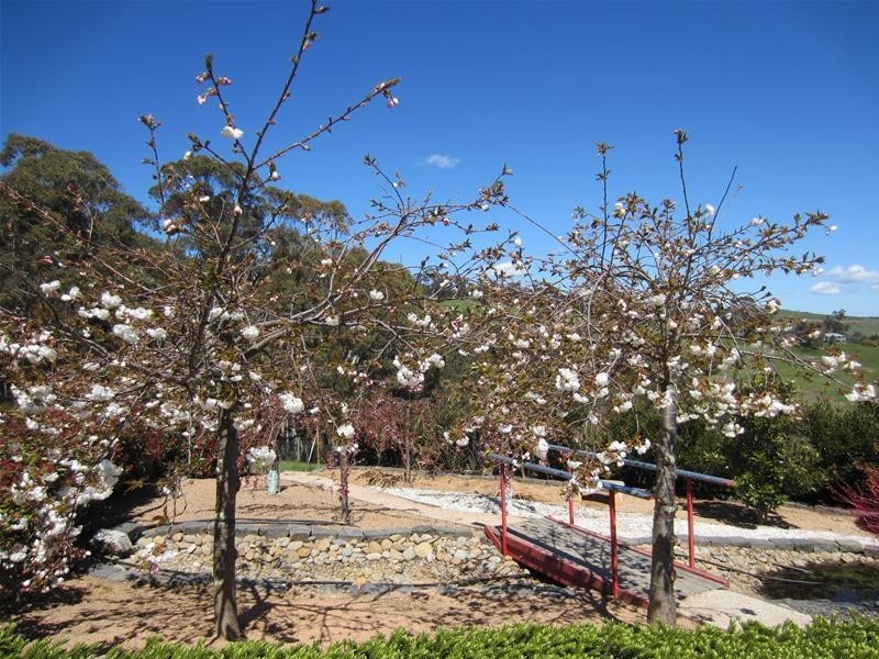 85 Wilson Drive, Oberon NSW 2787