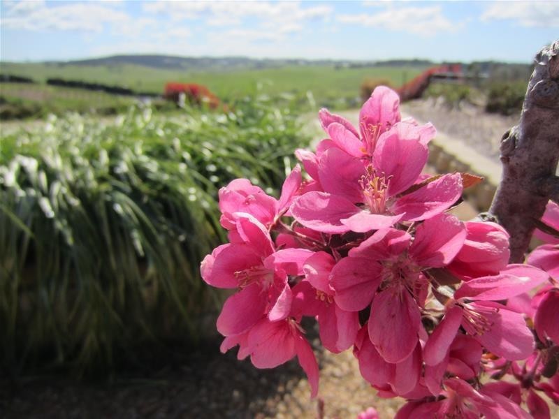 85 Wilson Drive, Oberon NSW 2787