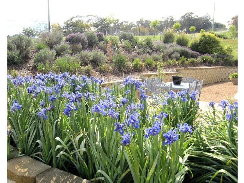 85 Wilson Drive, Oberon NSW 2787