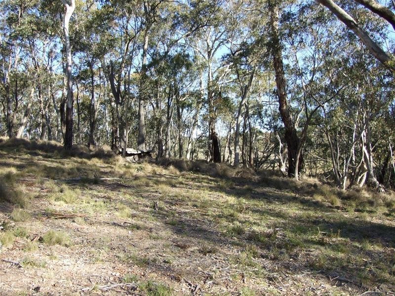 Meadow Flat NSW 2795
