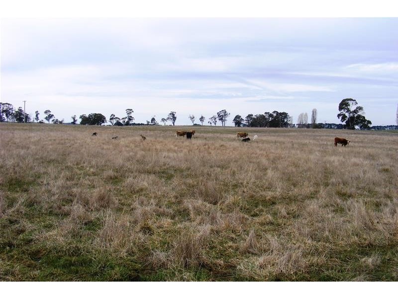 Lot 31 O’Connell Road, Oberon NSW 2787