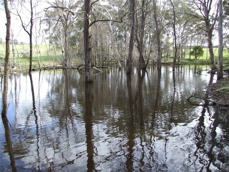 23 Sheepstation Forest Road, Oberon NSW 2787