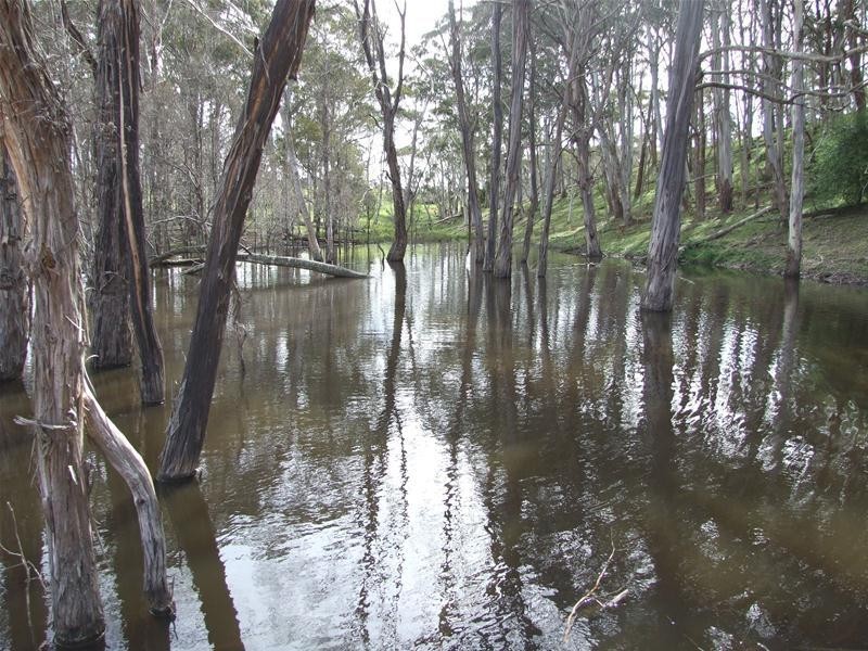 23 Sheepstation Forest Road, Oberon NSW 2787