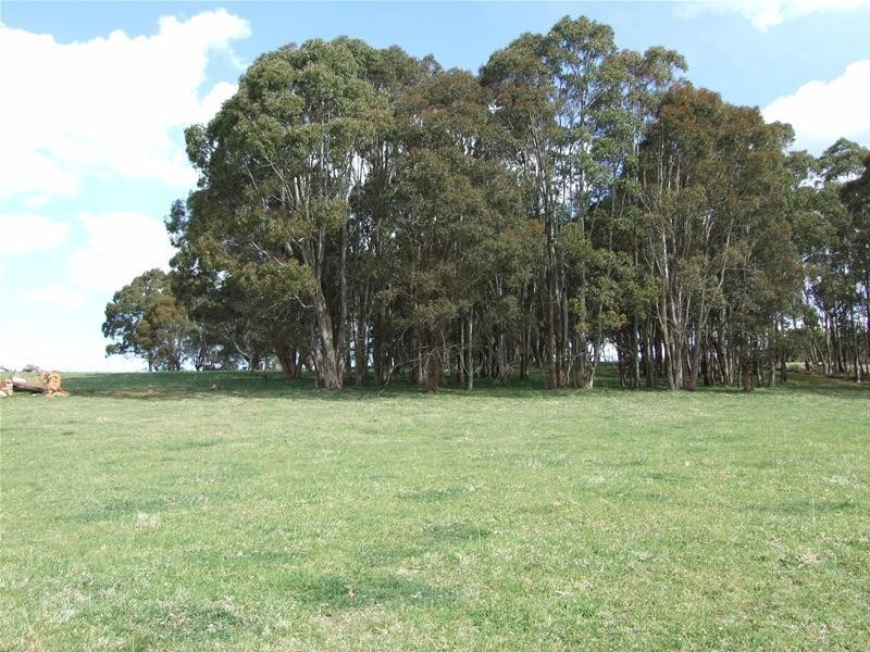 23 Sheepstation Forest Road, Oberon NSW 2787