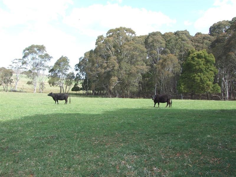 23 Sheepstation Forest Road, Oberon NSW 2787