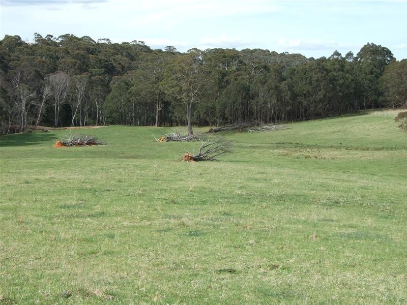 23 Sheepstation Forest Road, Oberon NSW 2787