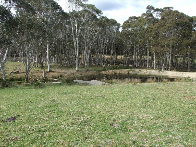 23 Sheepstation Forest Road, Oberon NSW 2787