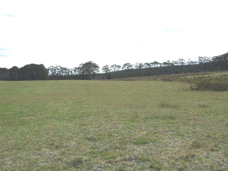 23 Sheepstation Forest Road, Oberon NSW 2787