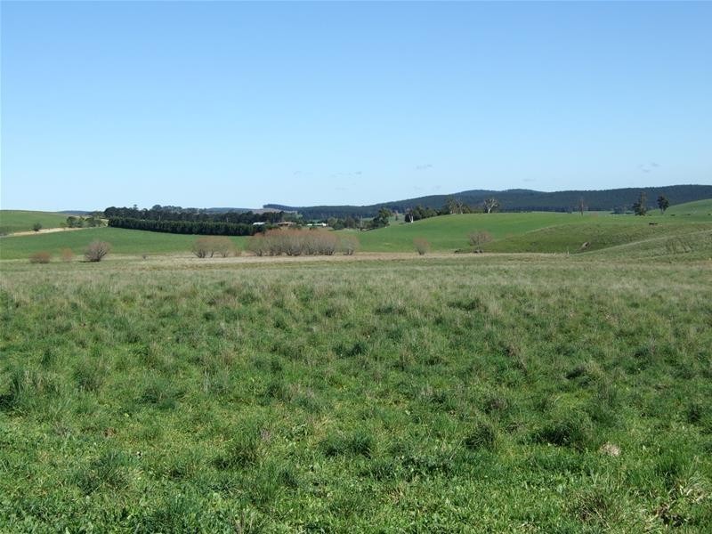 310 Sewells Creek Road, Oberon NSW 2787