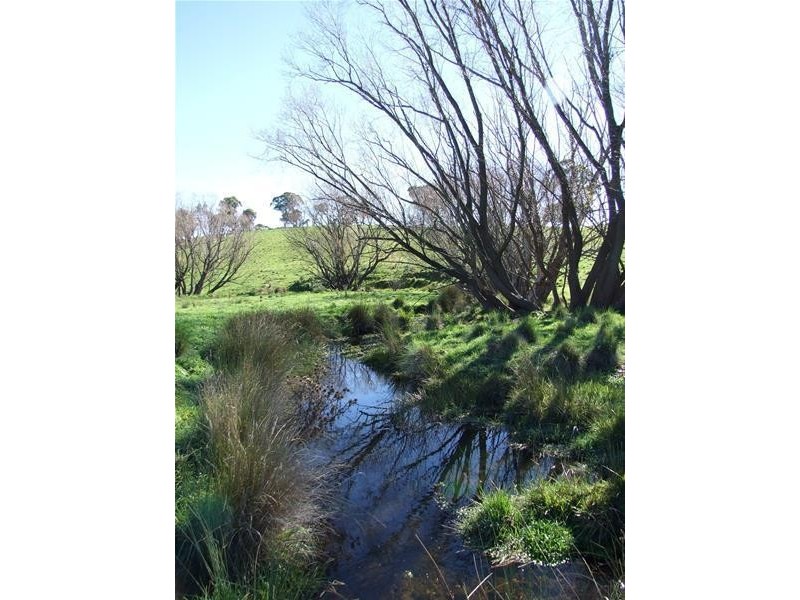 310 Sewells Creek Road, Oberon NSW 2787