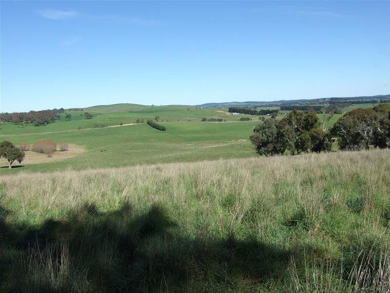 310 Sewells Creek Road, Oberon NSW 2787