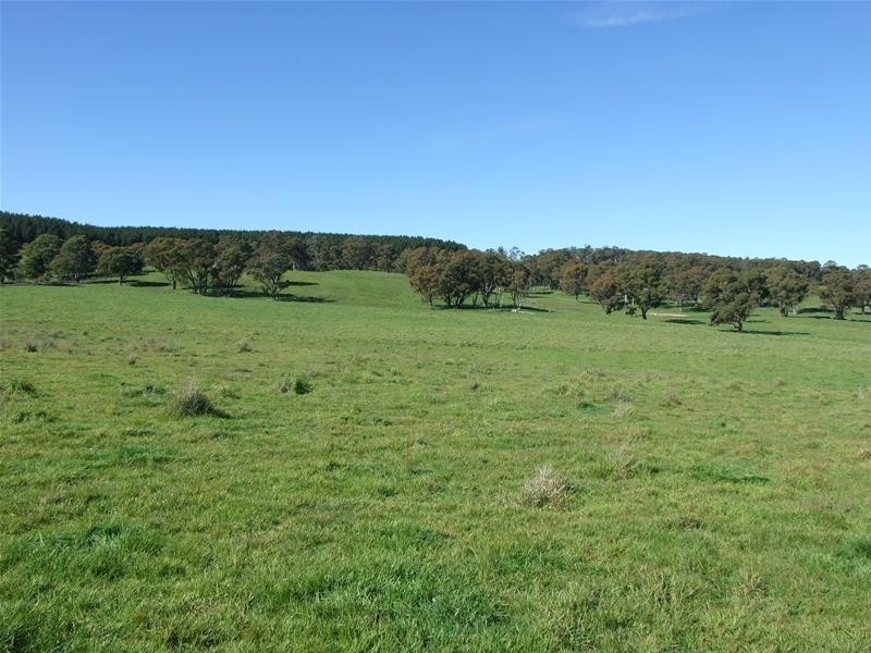 310 Sewells Creek Road, Oberon NSW 2787