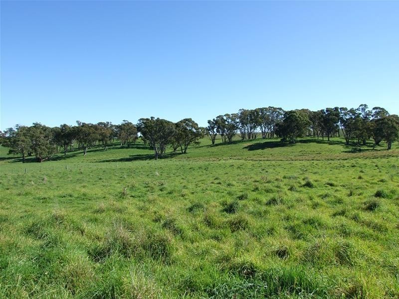 310 Sewells Creek Road, Oberon NSW 2787