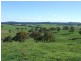 310 Sewells Creek Road, Oberon NSW 2787