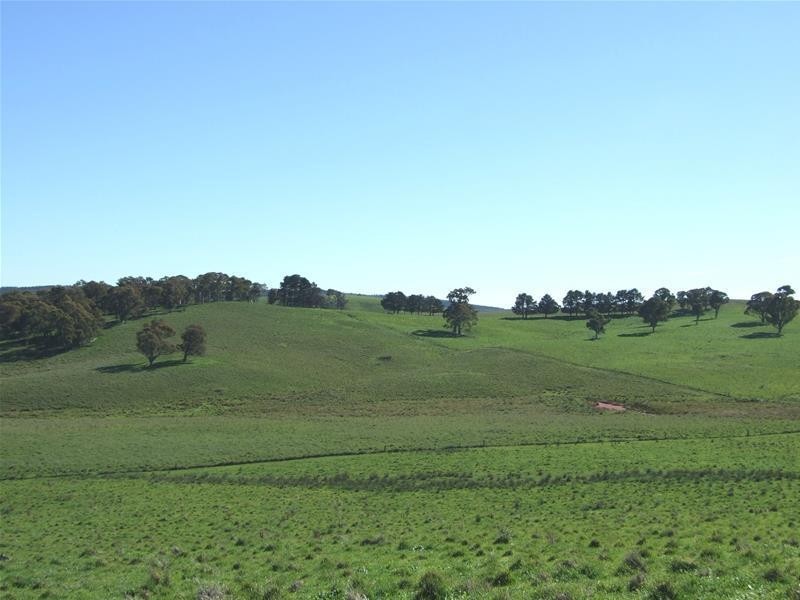 310 Sewells Creek Road, Oberon NSW 2787