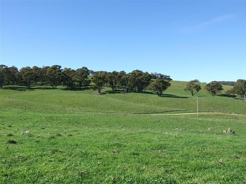 310 Sewells Creek Road, Oberon NSW 2787