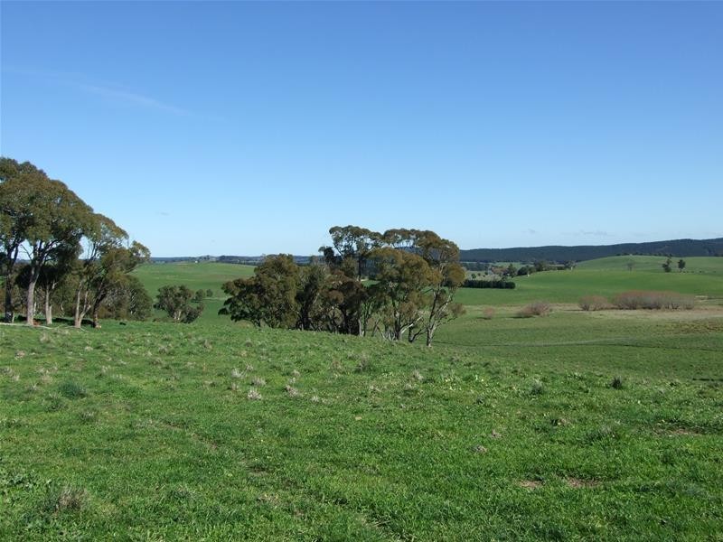 310 Sewells Creek Road, Oberon NSW 2787