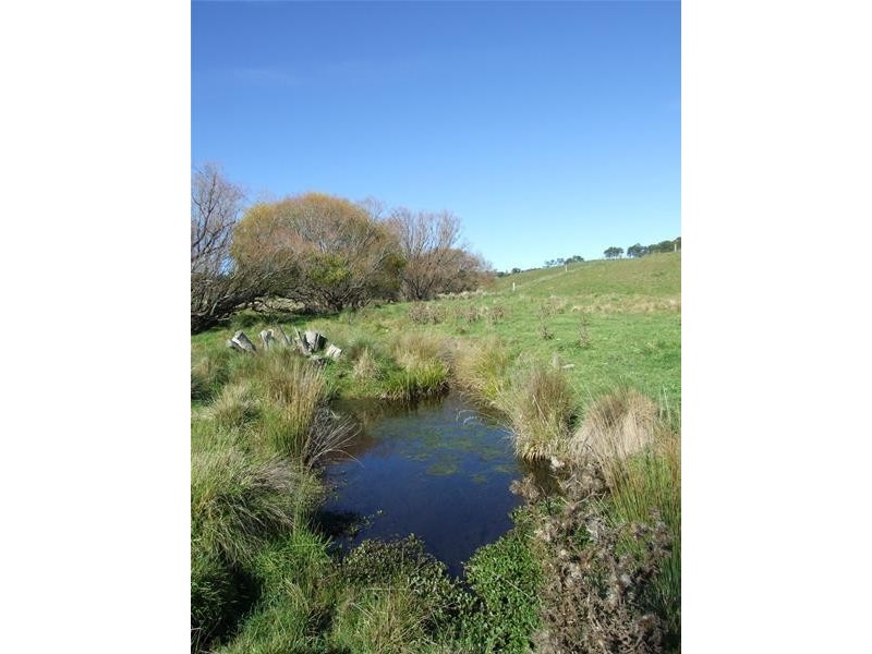 310 Sewells Creek Road, Oberon NSW 2787