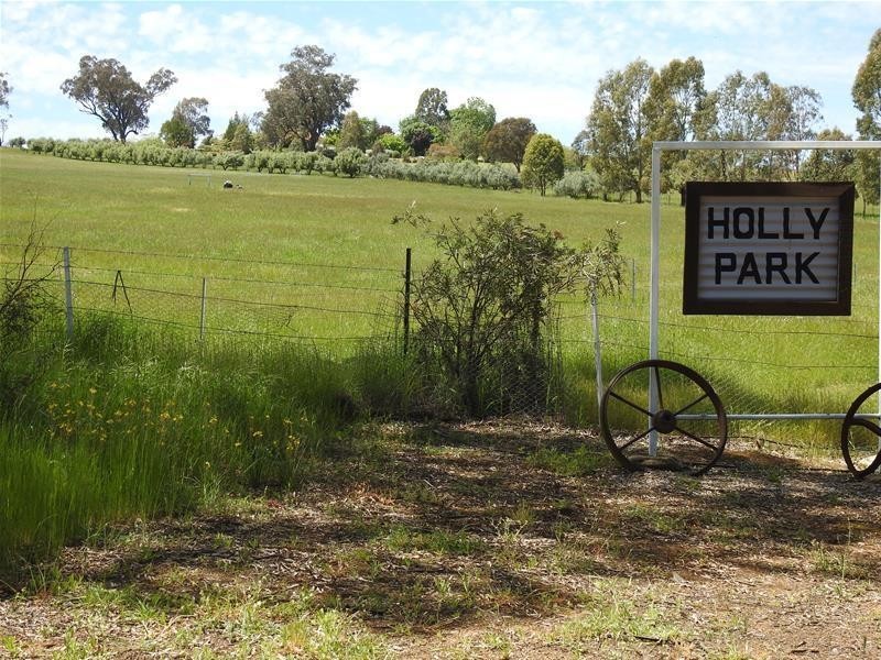 47 The Glen Road, Molong NSW 2866