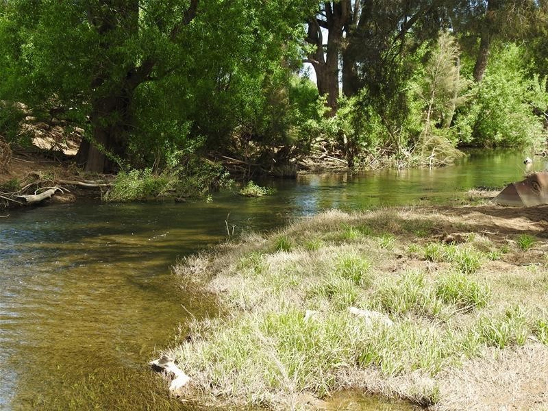 47 The Glen Road, Molong NSW 2866