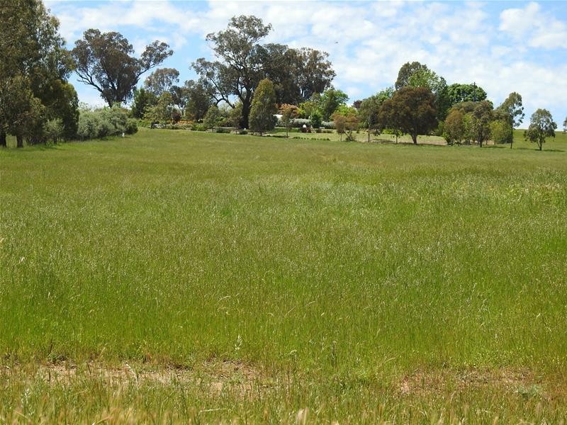 47 The Glen Road, Molong NSW 2866