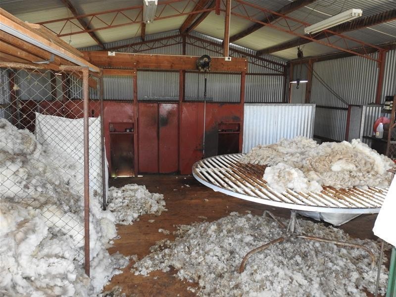 47 The Glen Road, Molong NSW 2866