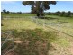 47 The Glen Road, Molong NSW 2866