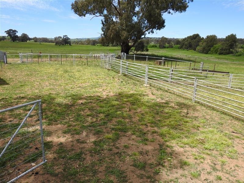 47 The Glen Road, Molong NSW 2866