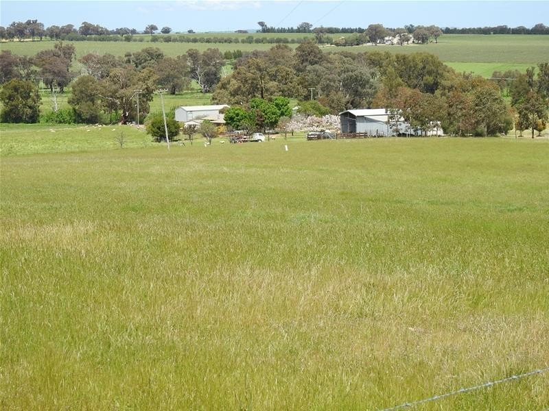 47 The Glen Road, Molong NSW 2866