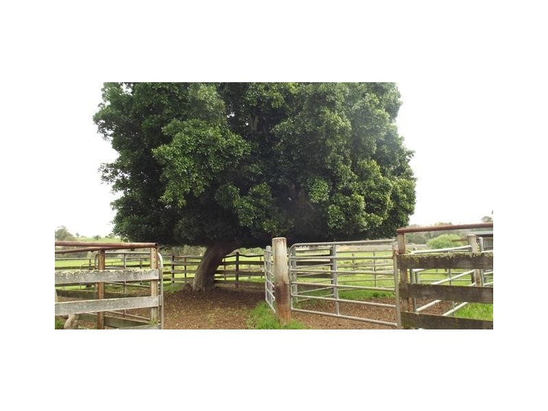 13085 South West Highway, Brunswick WA 6224