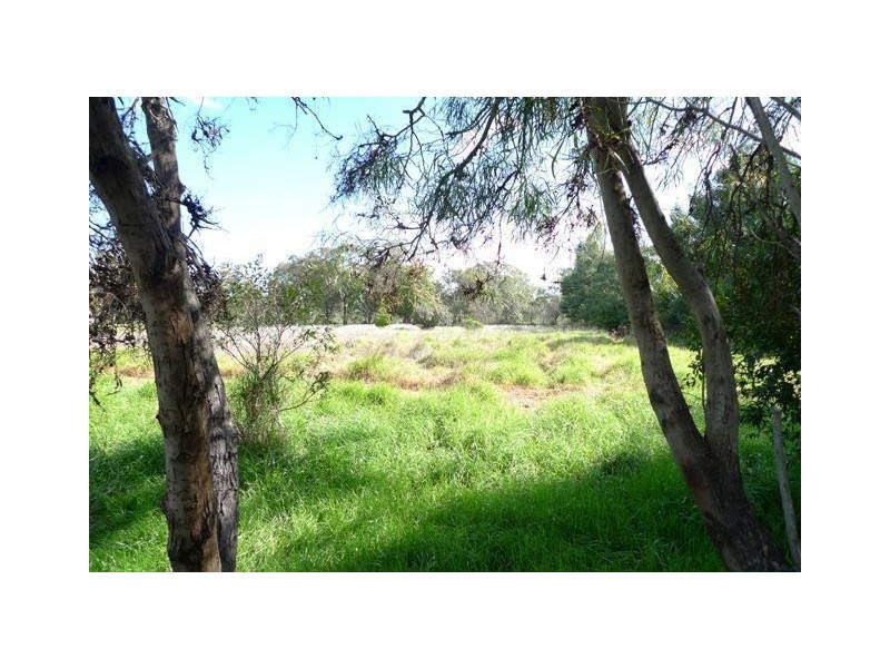 Darwin Street, Cookernup WA 6220