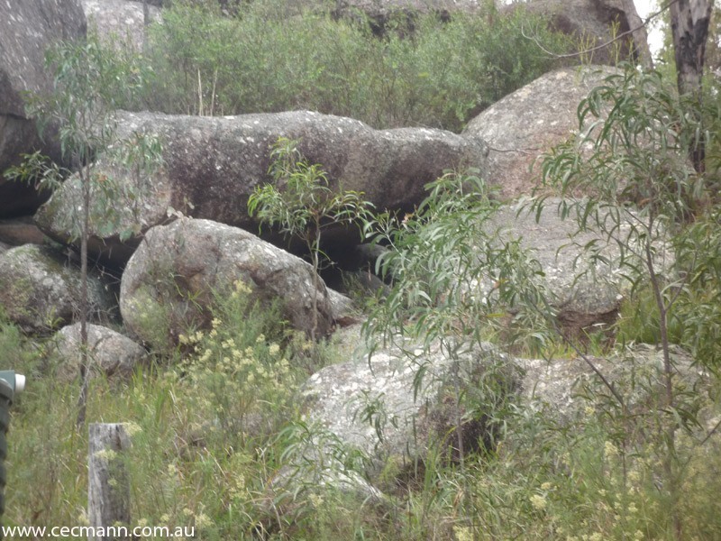 100 Glenlyon Drive, Stanthorpe QLD 4380