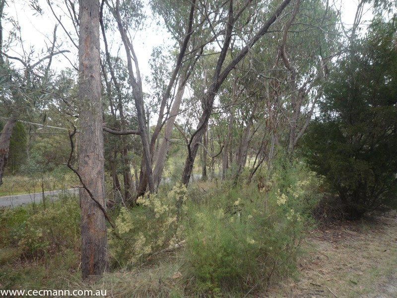 100 Glenlyon Drive, Stanthorpe QLD 4380