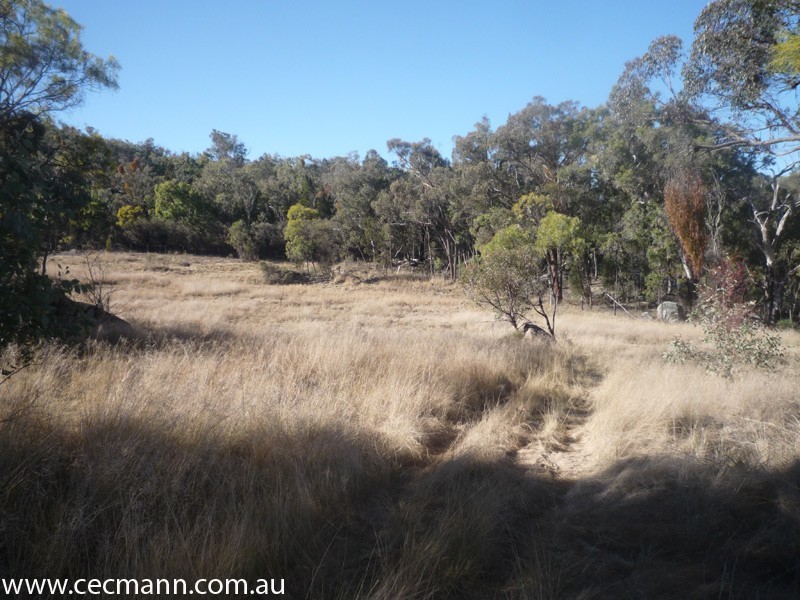 2399 Pyramids Road, Stanthorpe QLD 4380