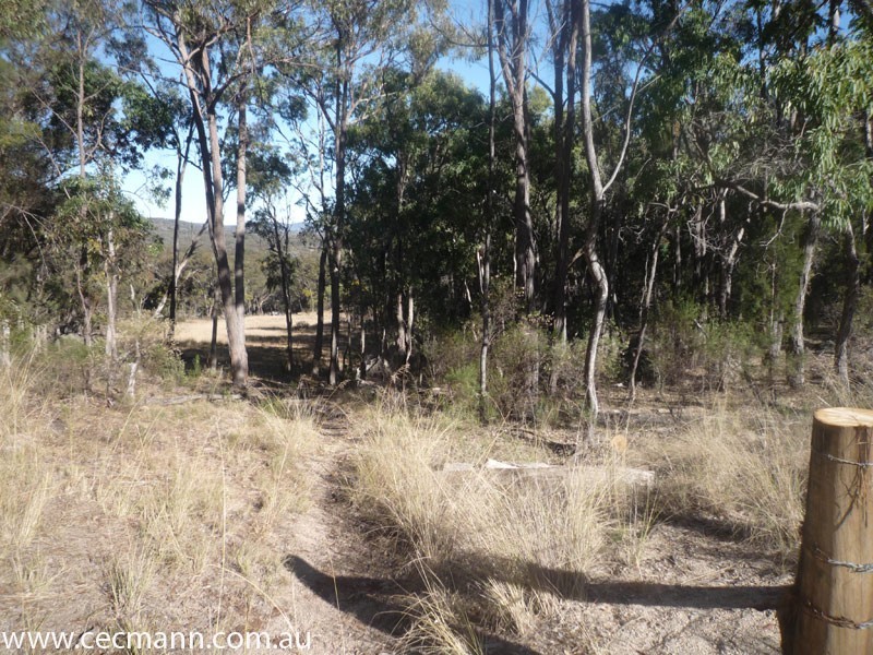 2399 Pyramids Road, Stanthorpe QLD 4380