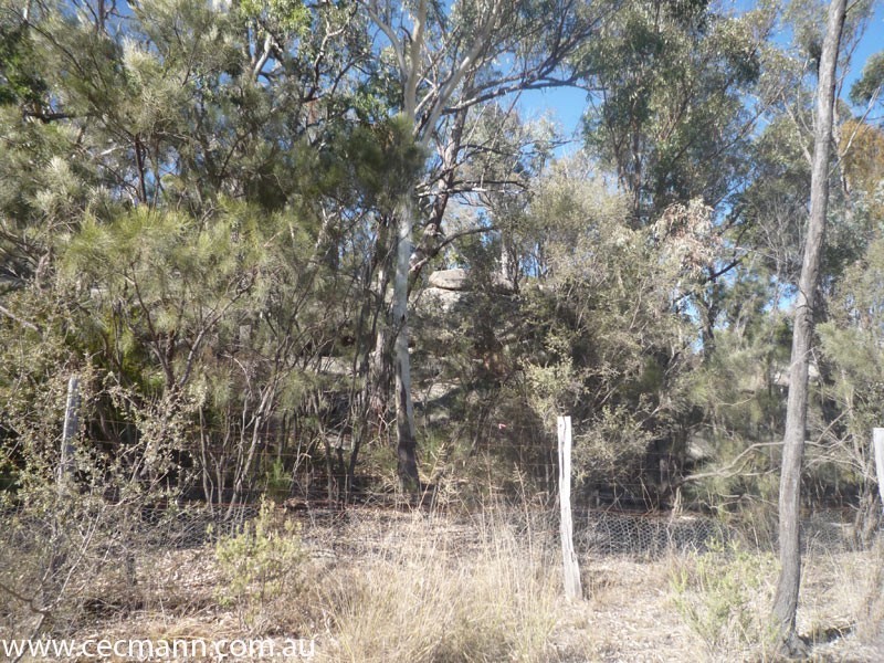 2399 Pyramids Road, Stanthorpe QLD 4380