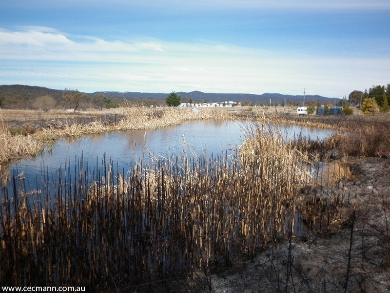 128 Donges Road, Stanthorpe QLD 4380